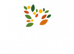 Christian Friends of Leket Israel Logo